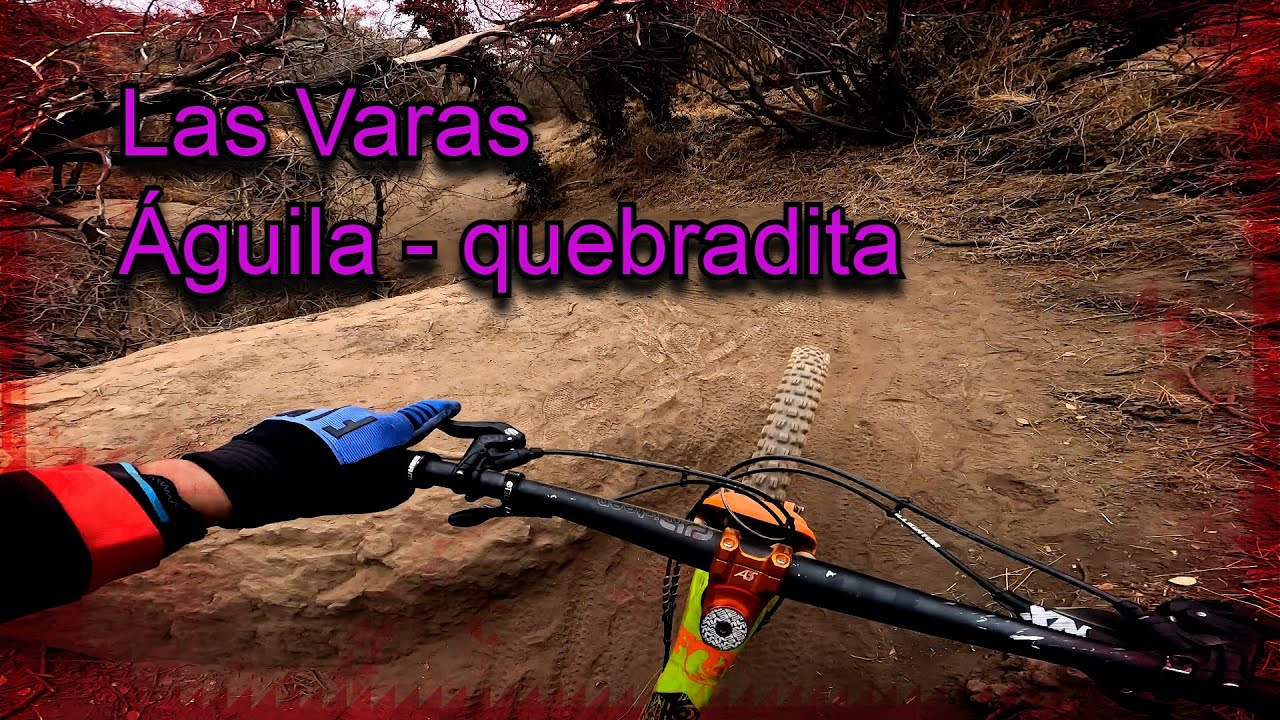 Las Varas Águila - Quebradita | abril 2023