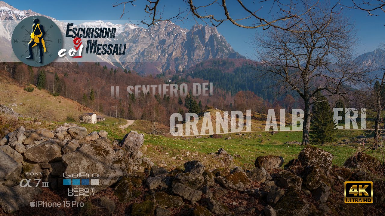 Il sentiero dei Grandi Alberi