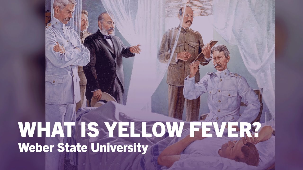 What is Yellow Fever? - Weber State University