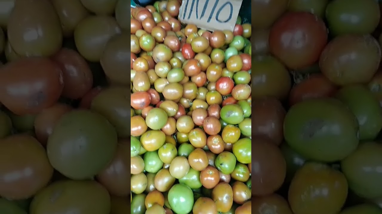 UPDATE PRESYO NG KAMATIS 180 PER KILO HANGGANG 200 PER KILO  SOBRANG MAHAL #trending#viralvideos
