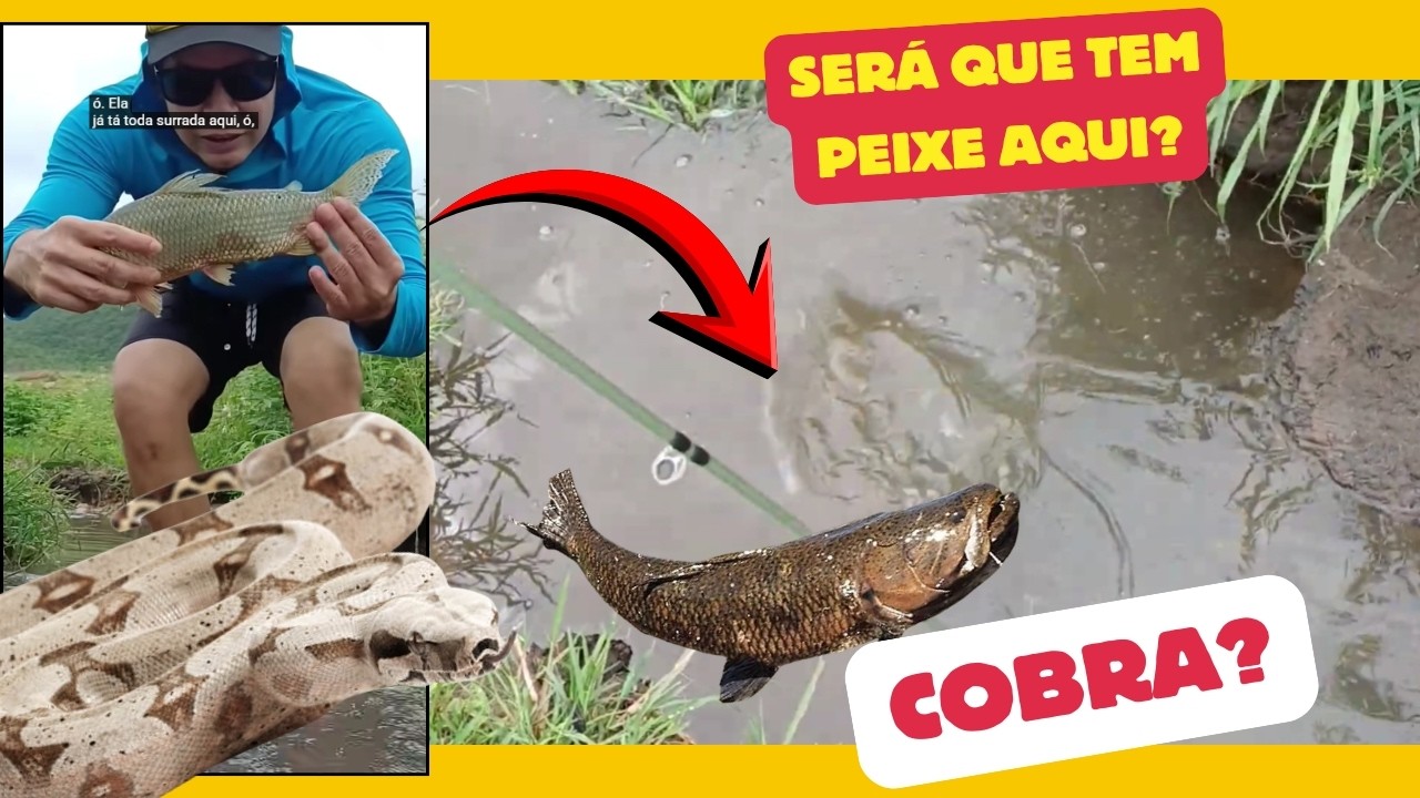O RIACHO ENCHEU... ISSO MUDA NOSSA DECISÃO DA ROÇA.