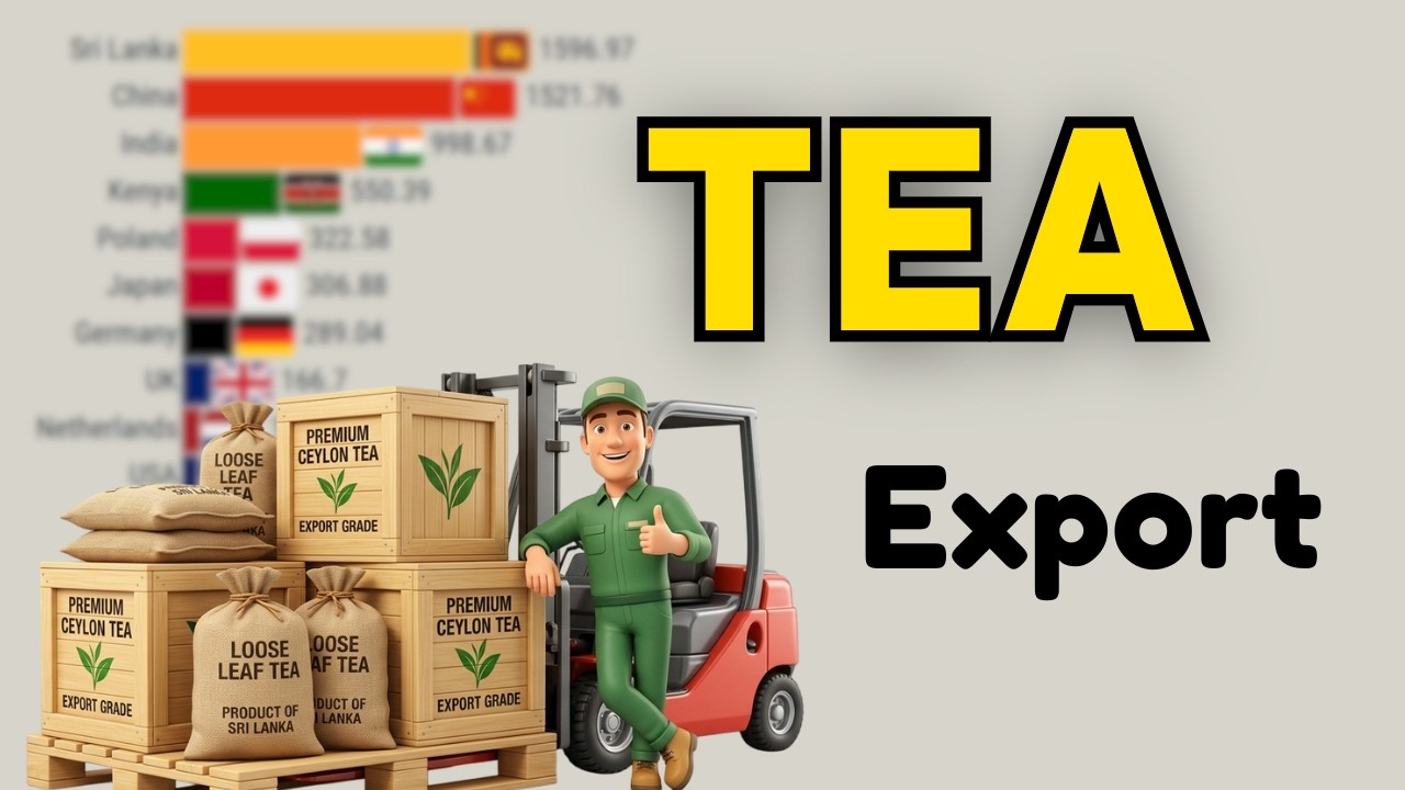 Top 15 Global Tea Exporting Nations by Annual Revenue 1961 to 2026