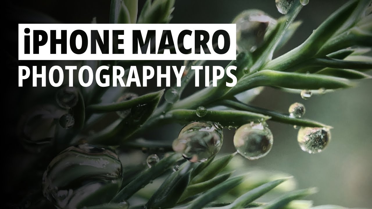 Master iPhone Macro Photography
