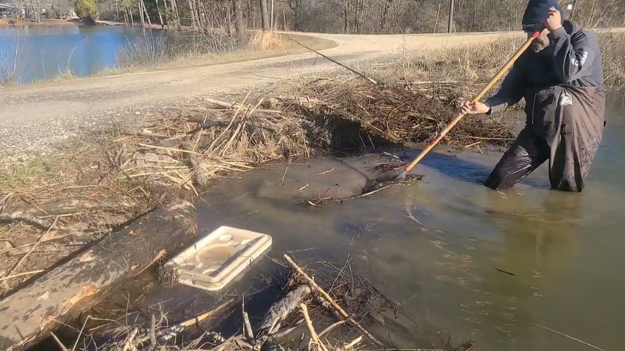 So Much rain and the beavers packed the clogged drainpipe . The water is up over drainpipe