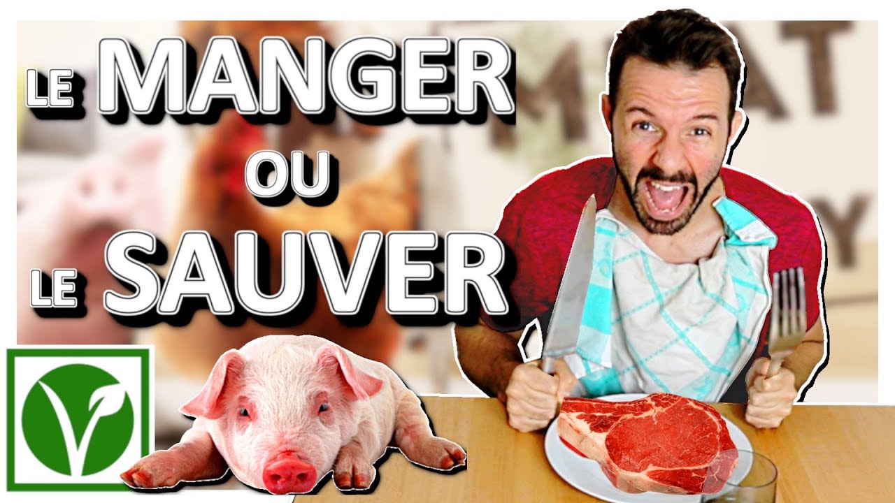 TÉLÉRÉALITÉ VEGAN / MANGER OU SAUVER UN ANIMAL 🍖
