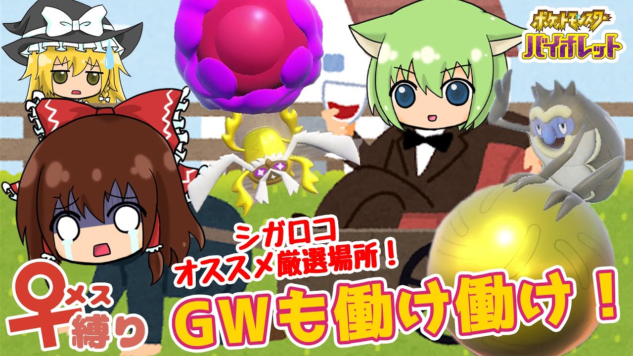 【SV色厳選】GWに金ピカ色厳選！シガロコ＆ベラカス色厳選！【♀縛り】【ポケモンSV】【ゆっくり実況】