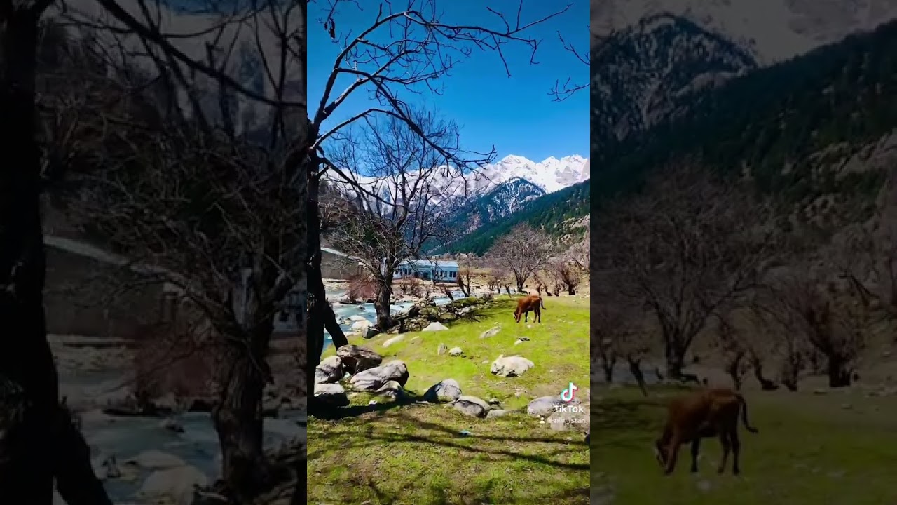 Nuristan village life 🌹🪴   #نورستان #nature #nuristan #travel #afghanisthan #mountains #beautiful