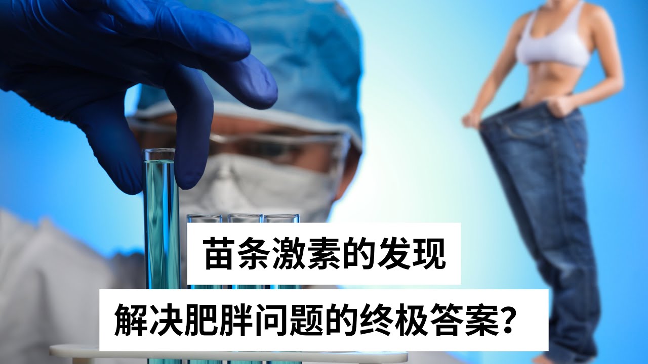Ep 51 科学家们是如何发现&ldquo;瘦素&rdquo;的 它可以帮助我们轻松瘦身？｜Leptin