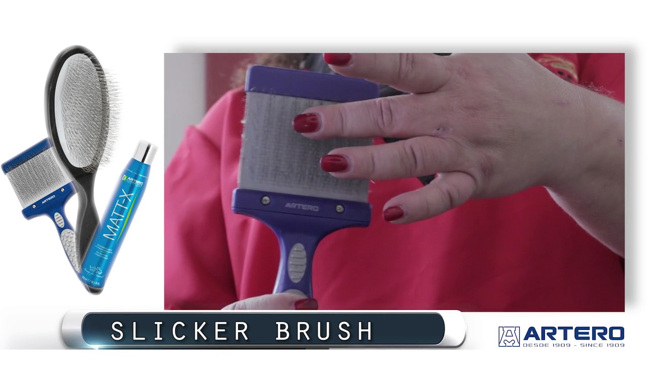 SLICKER BRUSH - DOG GROOMING