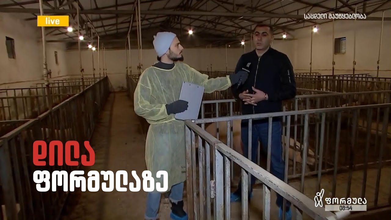 ფერმა გორის მიმდებარედ