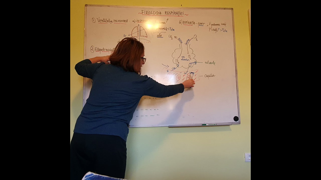 Fiziologia respiratiei