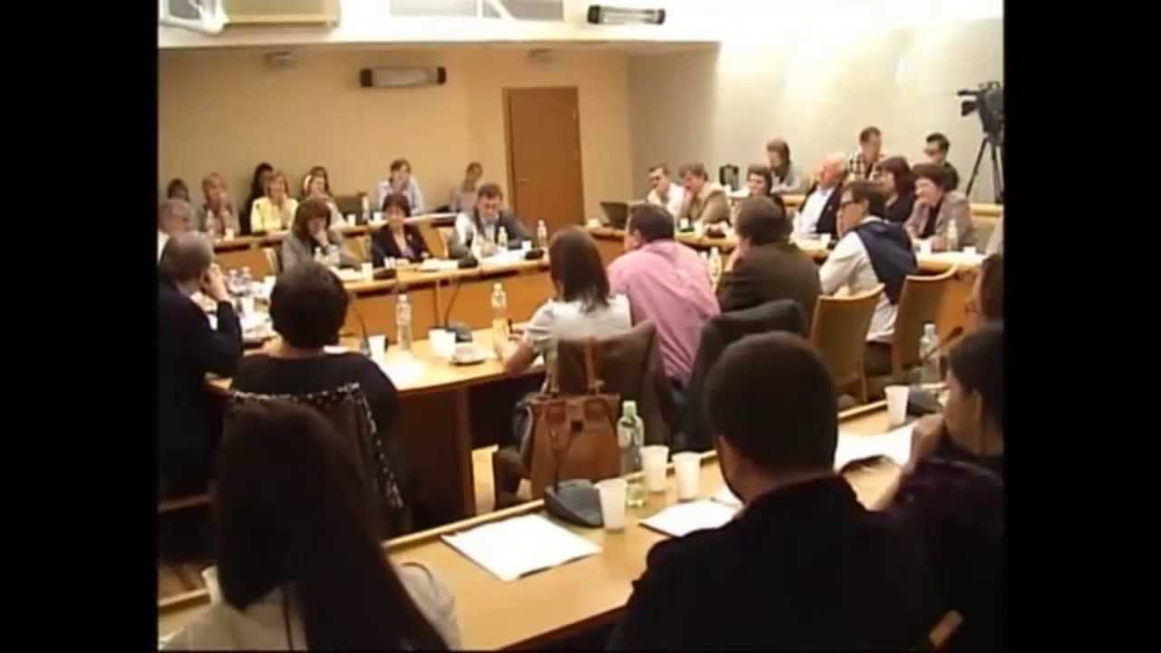 &Scaron;eimų  savanorystė.  I&scaron;trauka i&scaron; diskusijos Seime 