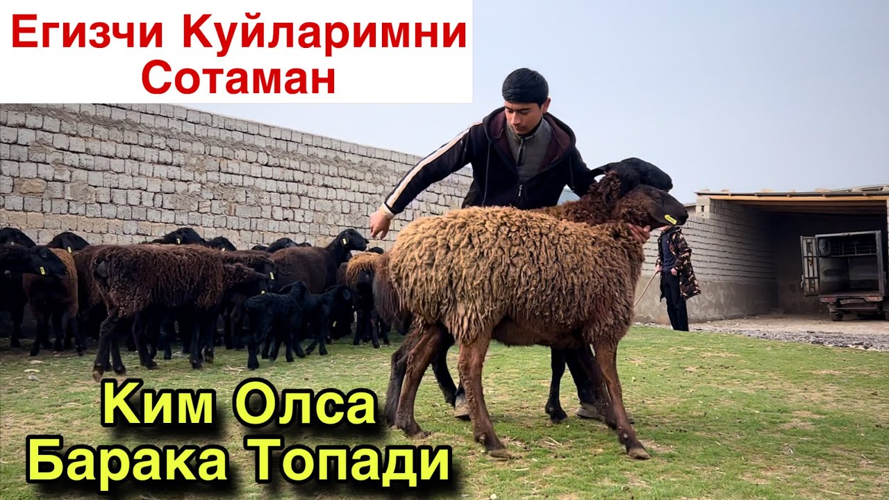 Егизчилар Оиласи! ☎️+998 97 853 9798