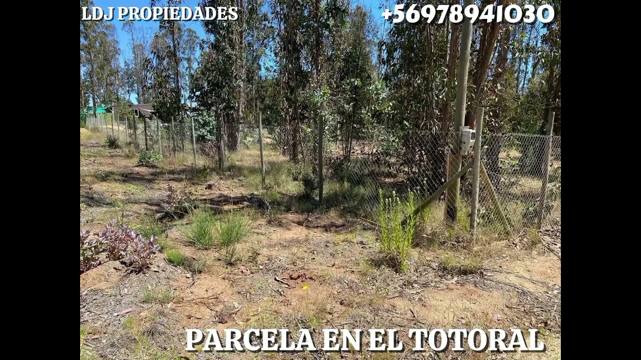 Venta De Parcela En El Totoral, El Quisco 