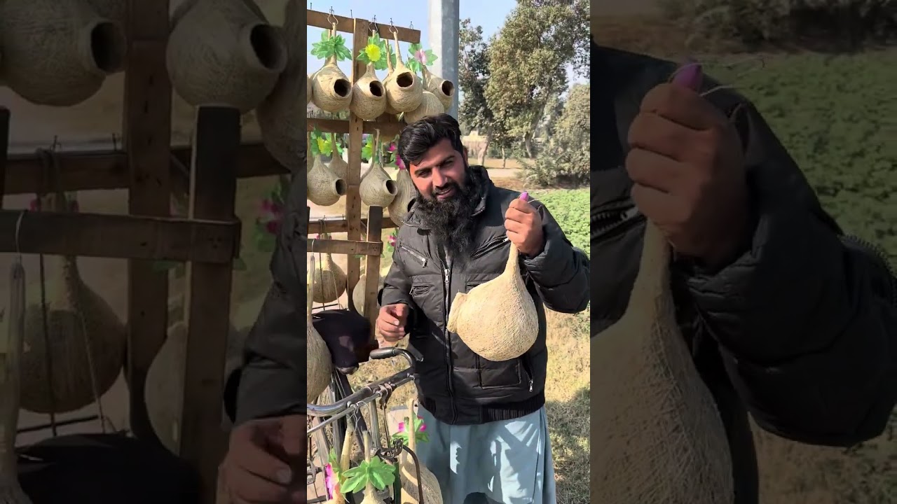 Nest maker in Pakistan