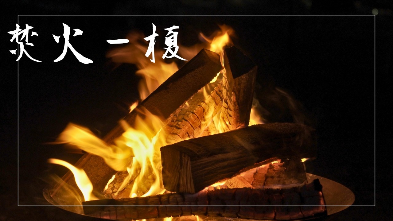 Crackling Campfire Ambience – Japanese Hackberry (Enoki) Firewood | 榎の焚き火【4K】