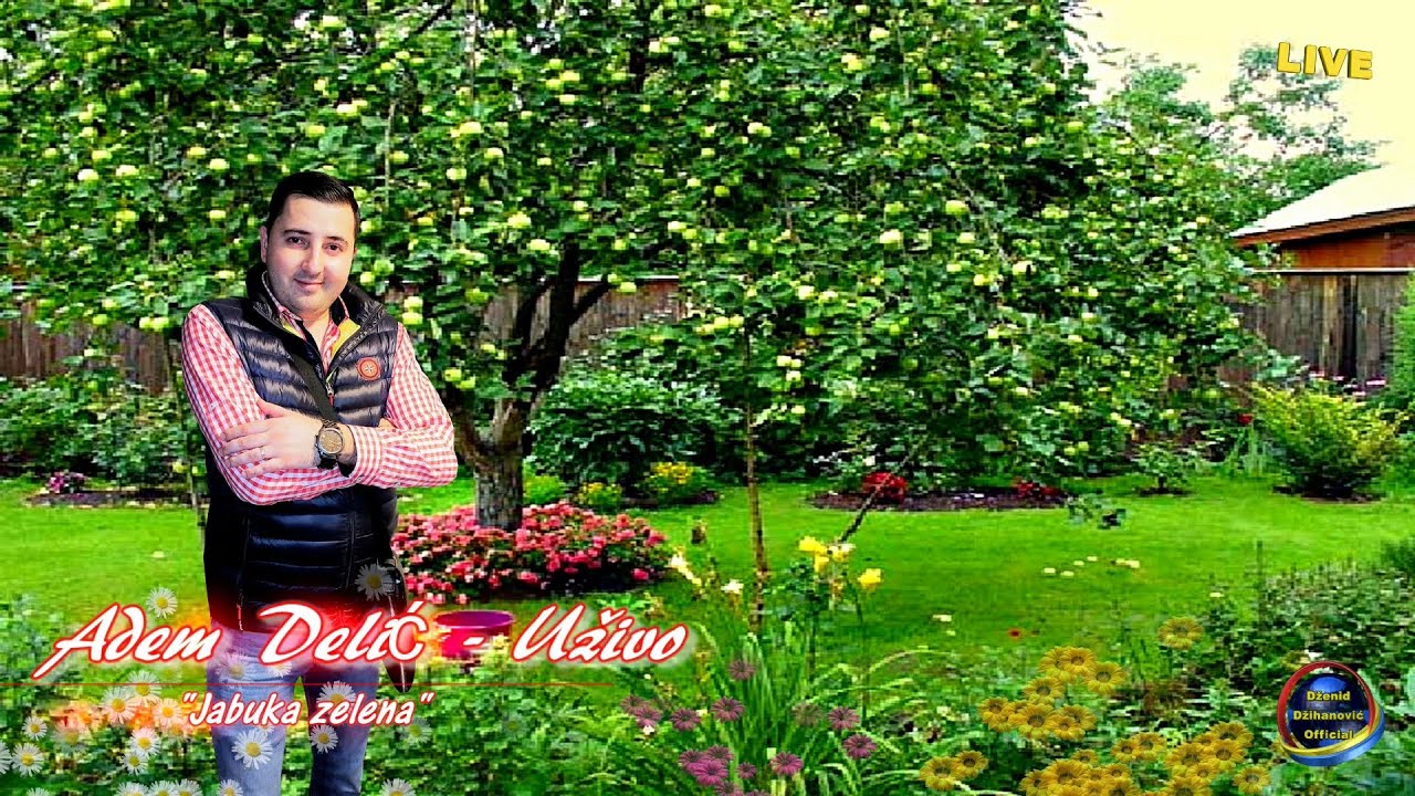 Adem Delic - Hej, jabuko zelena [Uživo/2020]