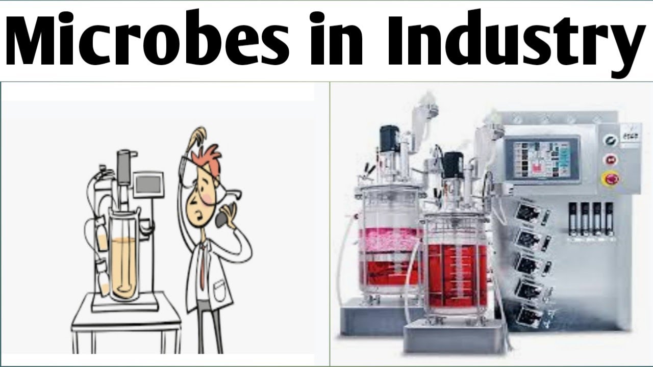 Use of microbes in industry|Pharmaceutical biotechnology|Unit 1| B. Pharm 6th Sem #industrialmicrobe