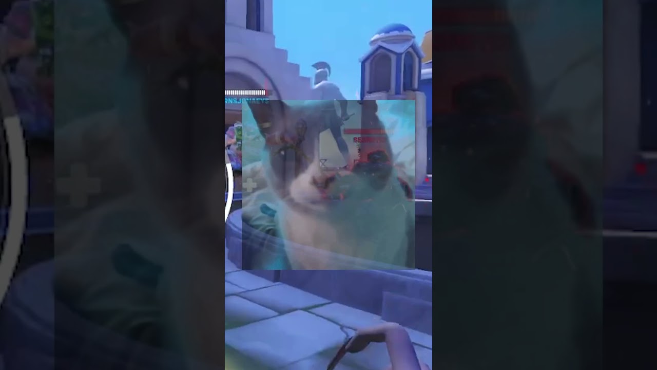 They really like that hole... 