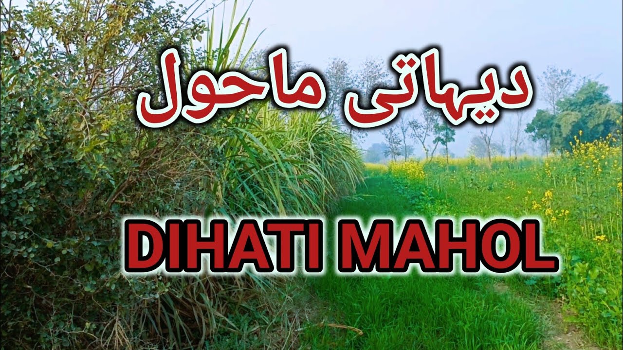 Dihati mahol khubsurat nazara khubsurat mahol vilog with Ammar 