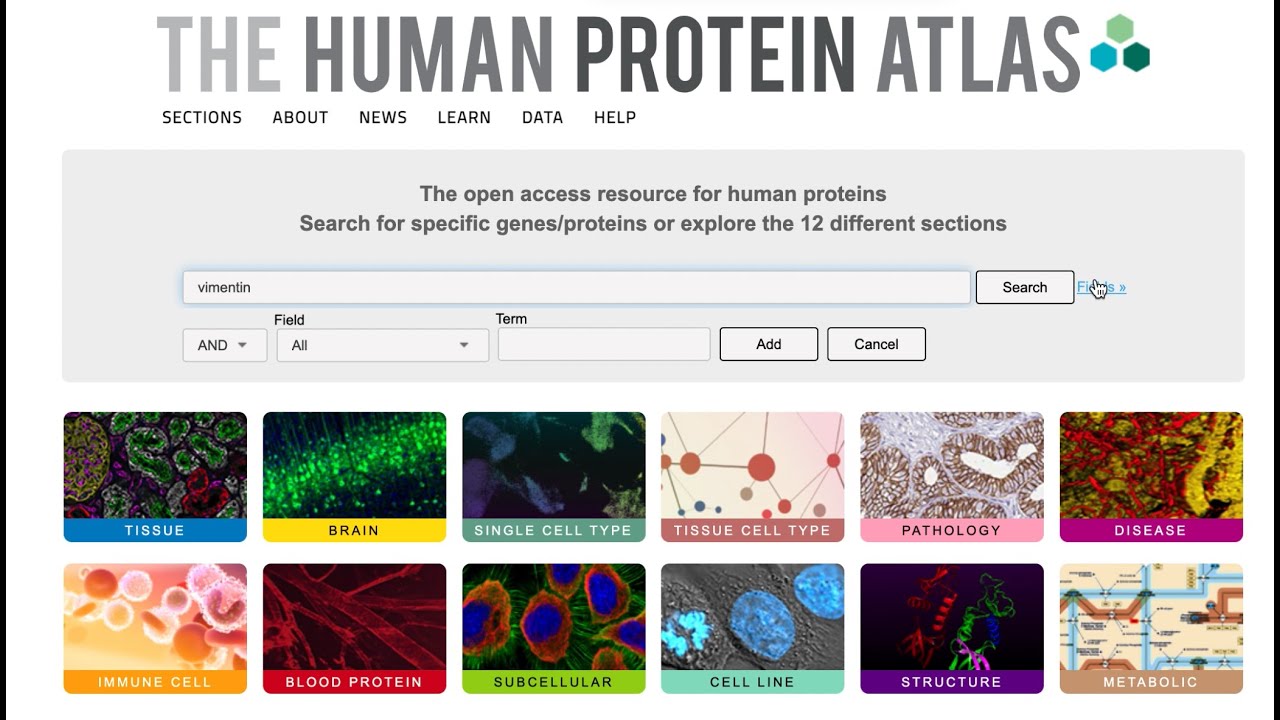 Human Protein Atlas