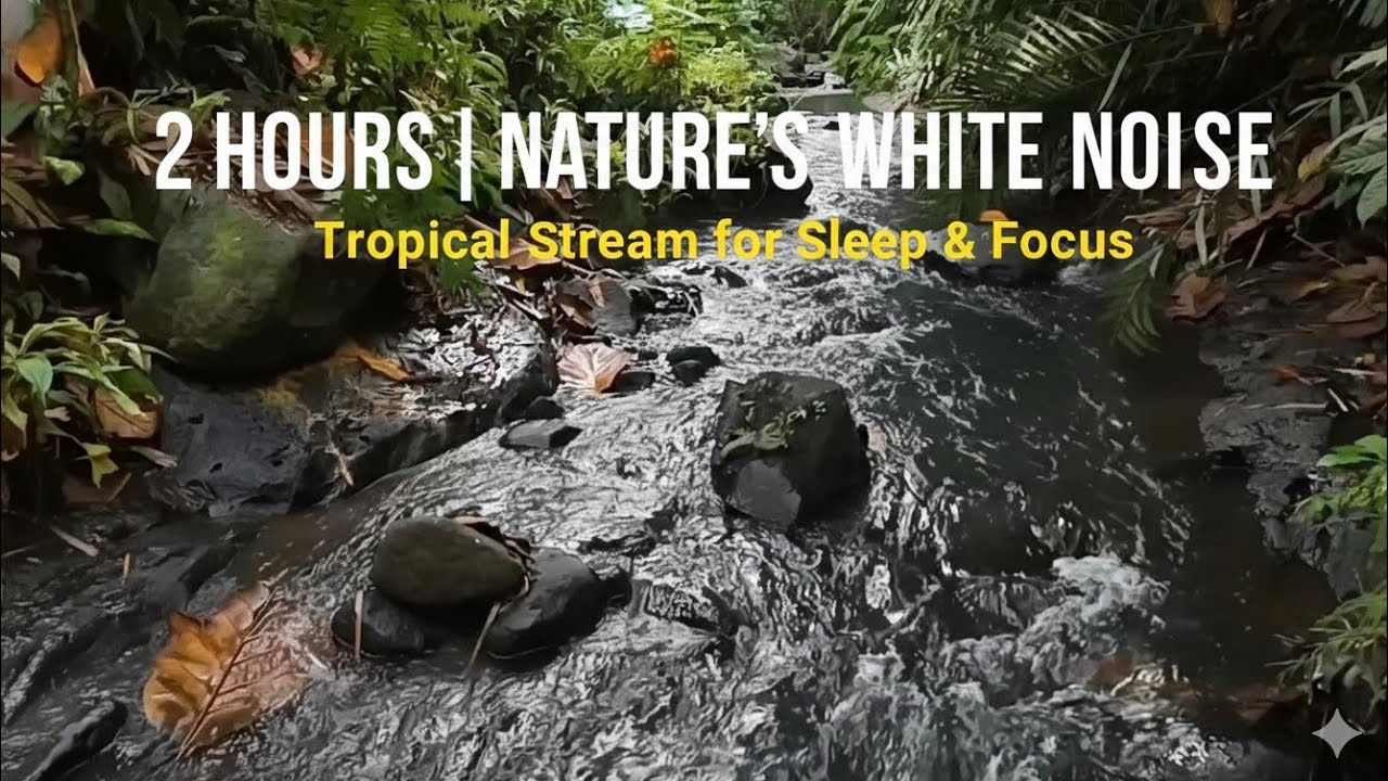 Tropical Stream Sounds for Sleeping & Study | Nature Based Wellness
