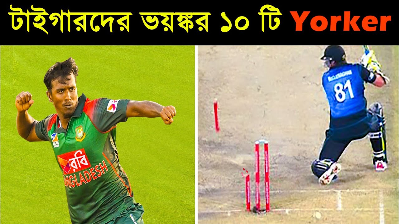 বাংলাদেশী বোলারদের অবিশ্বাস্য ইয়র্কার দেখলে অবাক হবেন || Best Yorker by Bangladeshi Bowler ||