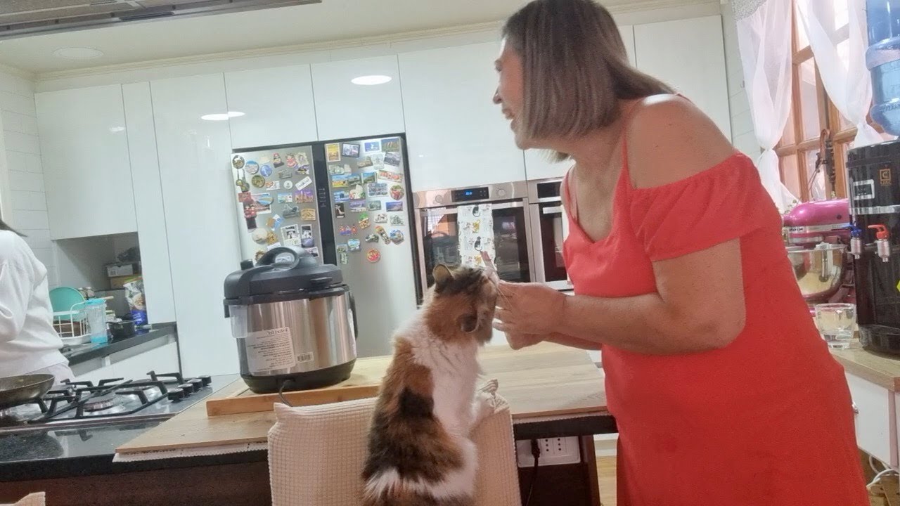 Fui y no fue lo que esperaba 🤷😏 - Silvana Vlogs