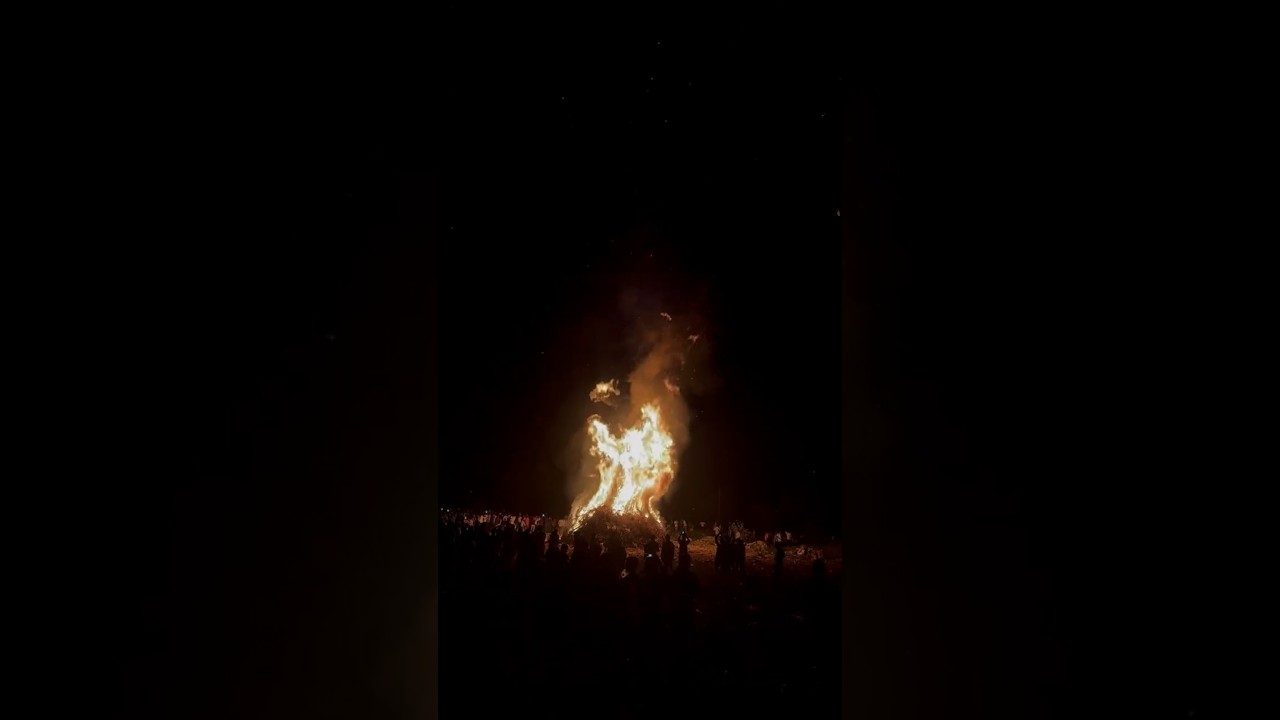 Kanuma Celebrations | NGO Colony | Rayachoti | Andhra Pradesh | 15 Jan, 2025 | Cultural Events