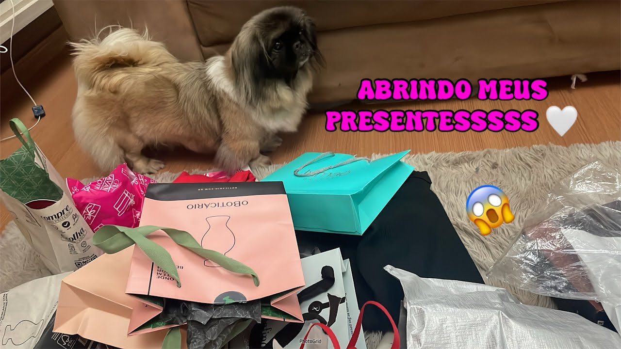 ABRINDO MEUS PRESENTES DE ANIVERSÁRIO 🤍 - Lu Vlogs