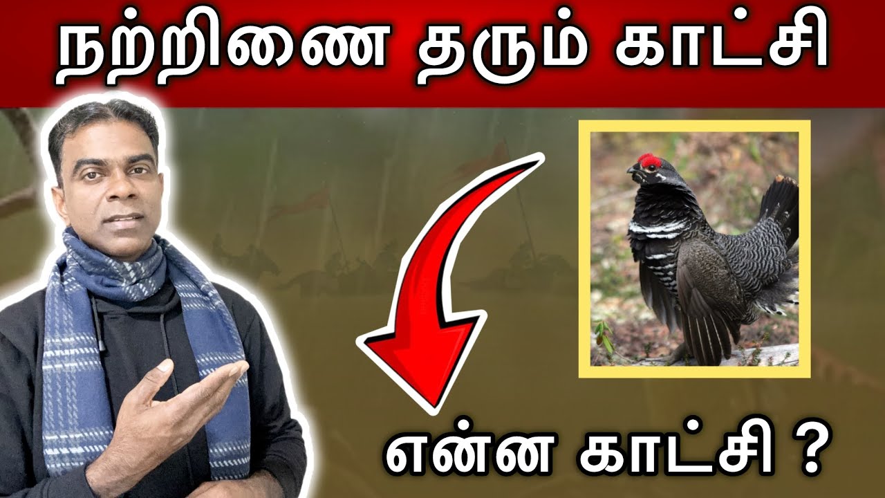 Only srilankan Tamil use this tamil word | sangam literature Nattrinai |