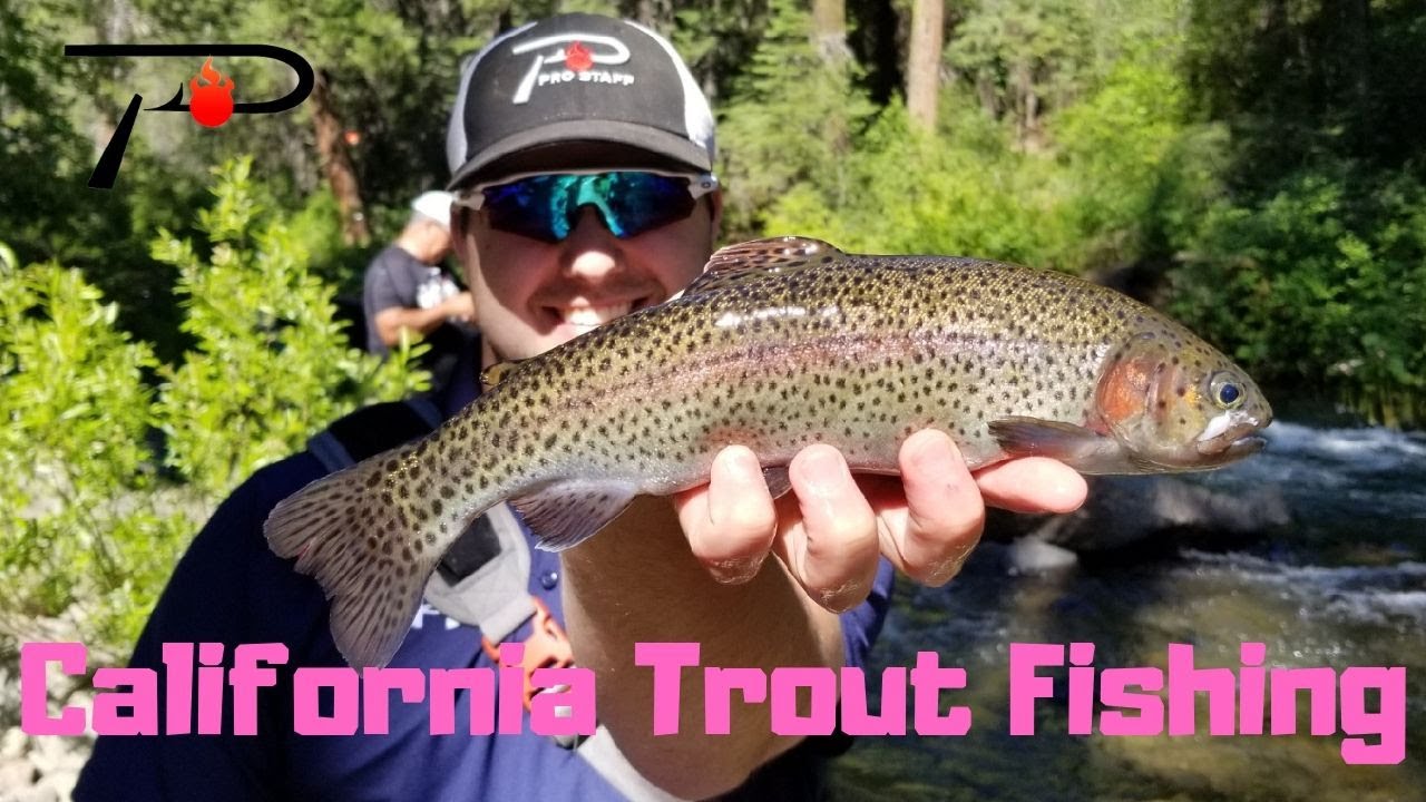 California Trout Fishing