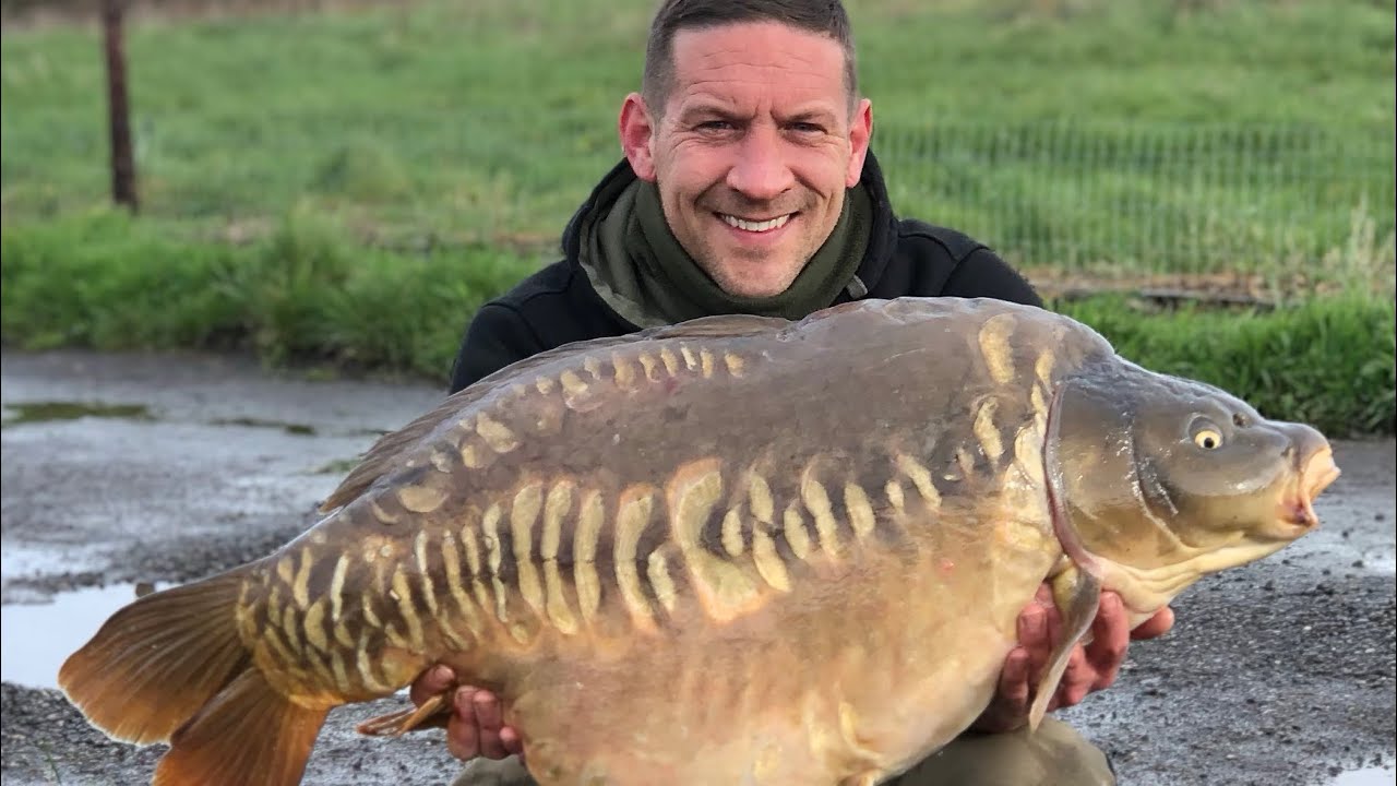 Coking farm , Oak Lake, 47lb 12oz , day ticket carp caught, HUGE CARP