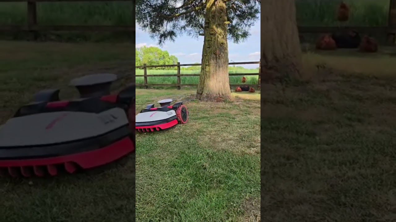 The chicks love a Kress robotic mower! #kress #lawncare #groundcare