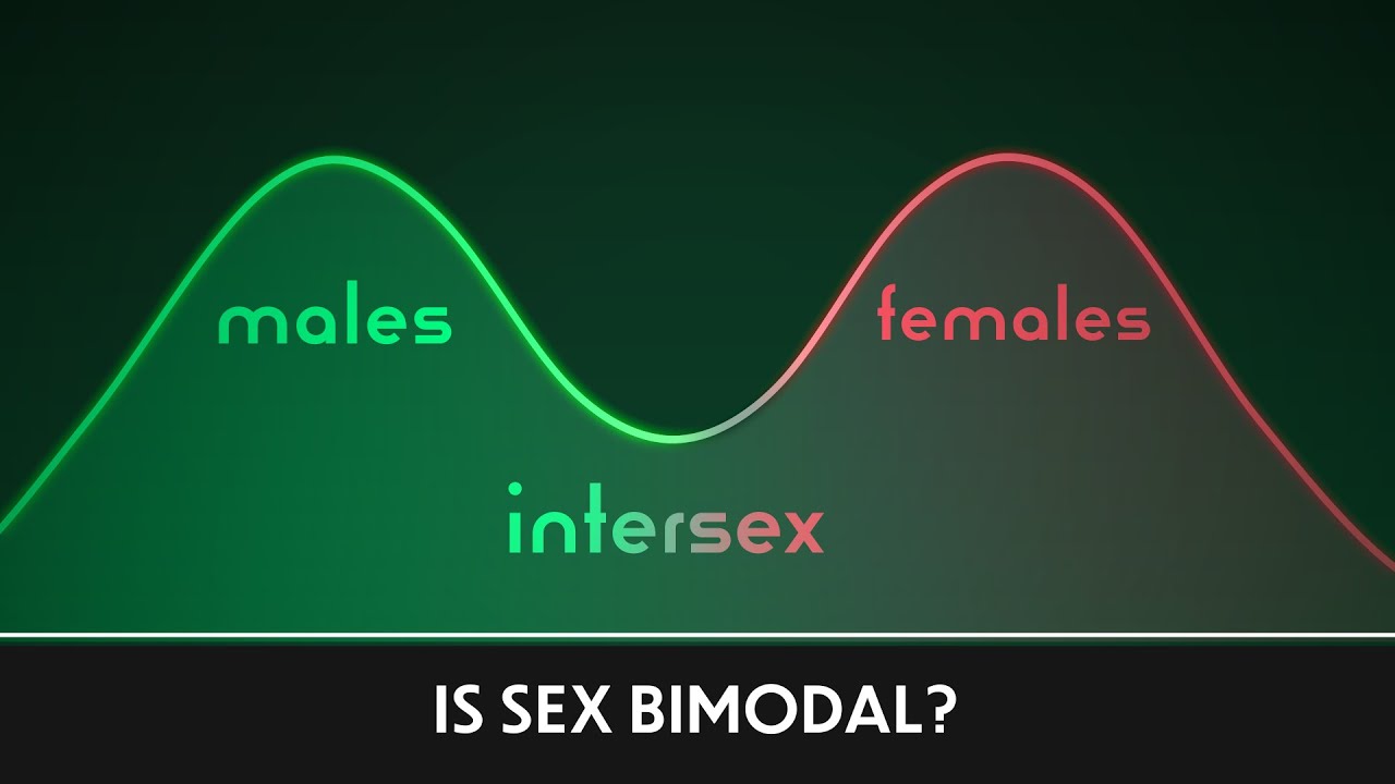 Is Sex Bimodal? | Paradox Animations