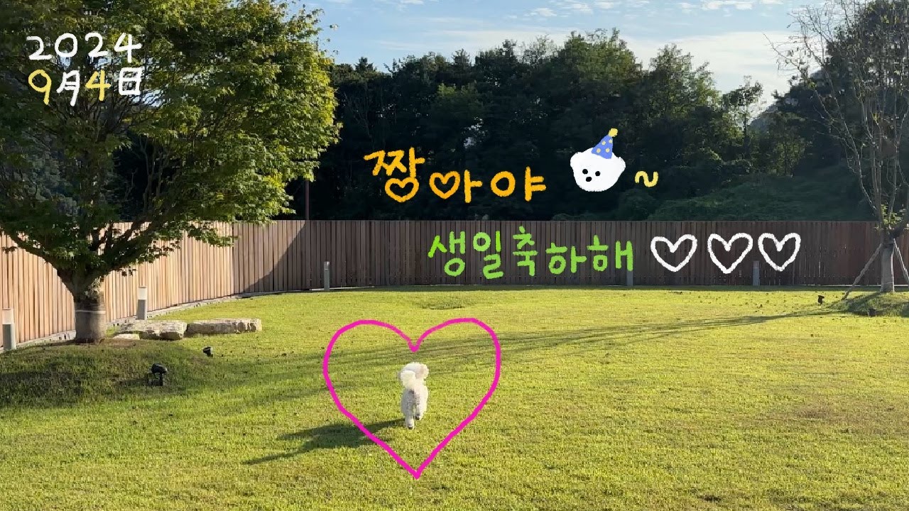 짱아의 생일여행 | 춘천 빌라반우, 양평 두물머리