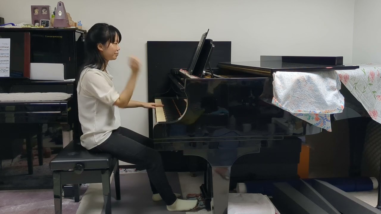 Practice log (2): Brahms piano concerto 2 - 1st movt