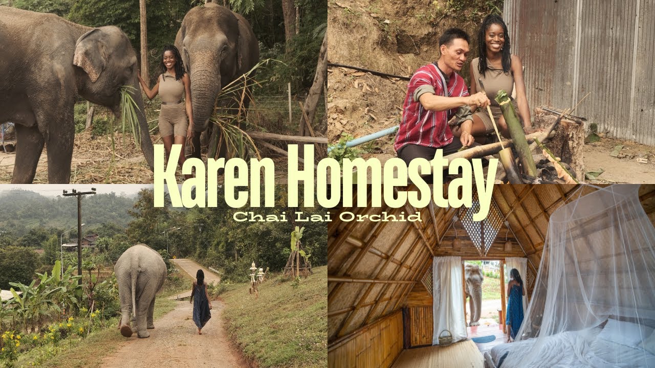 Ethical Elephant Sanctuary [The Karen Homestay Experience by Chai Lai Orchid, Chaing Mai, Thailand]
