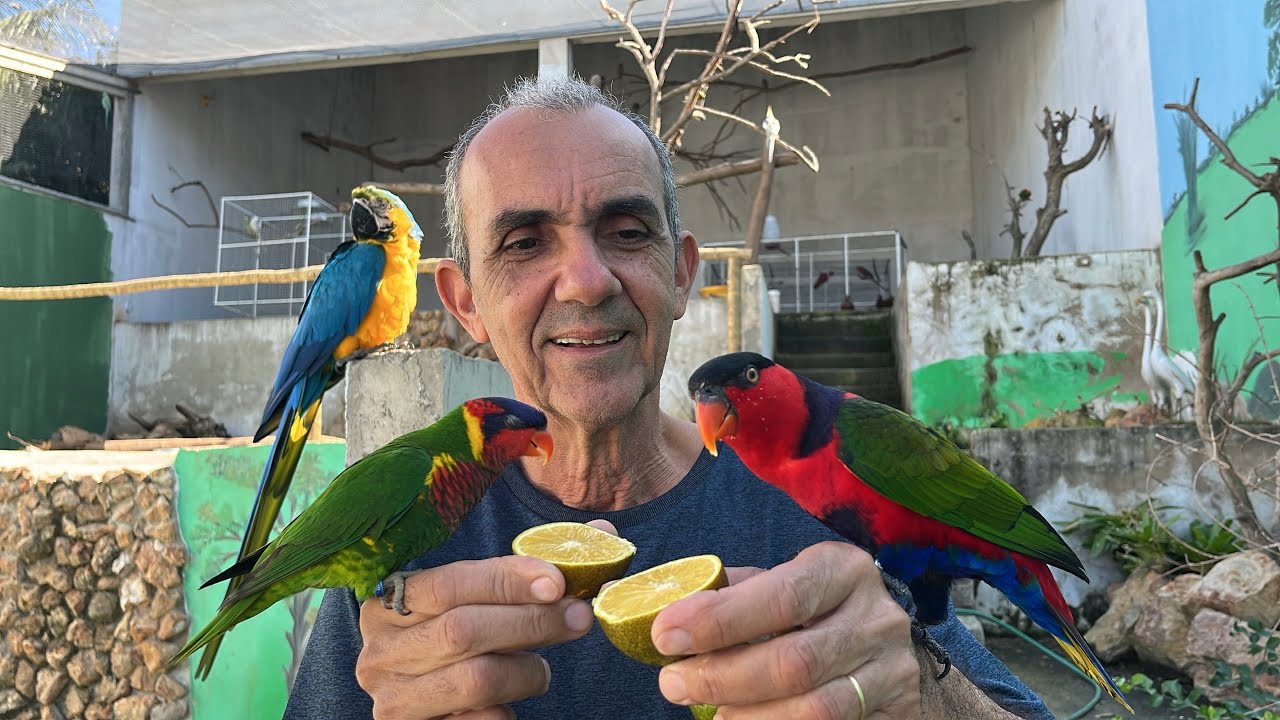 A OBRA ESTÁ NA RETA FINAL NO CRIATÓRIO