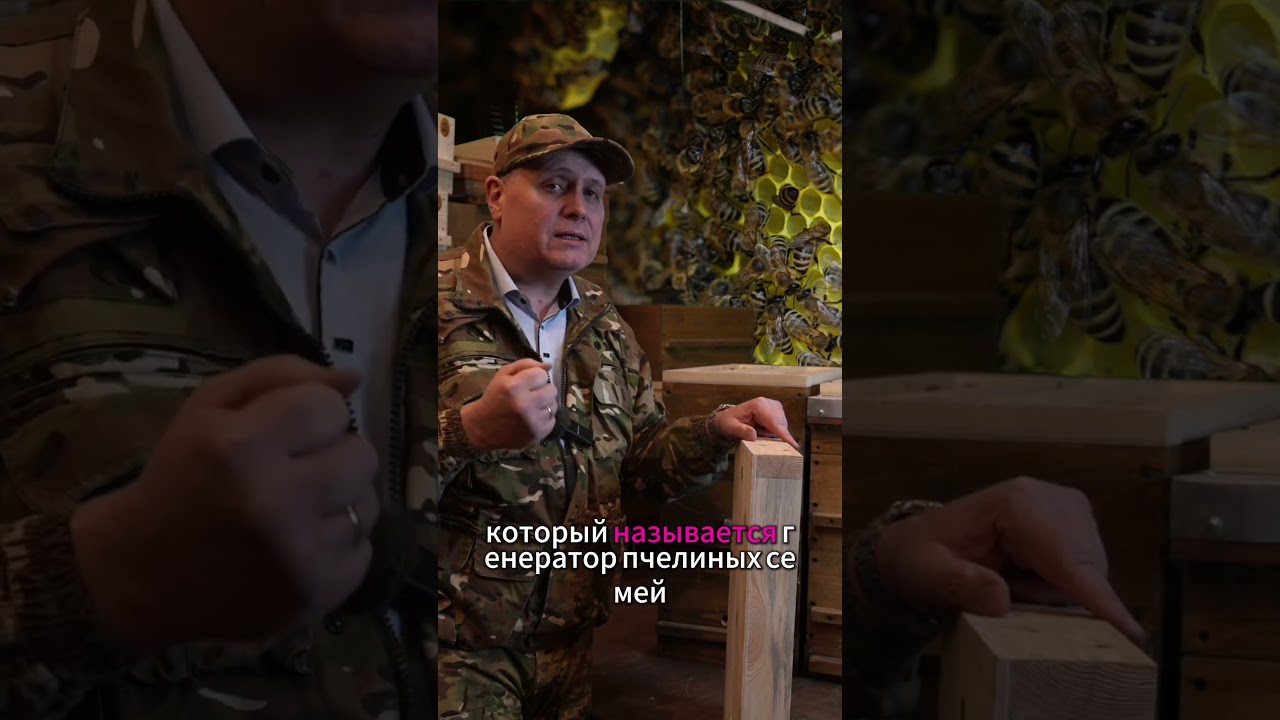 НОВОЕ ПОКОЛЕНИЕ КОРМУШЕК ДЛЯ ПЧЁЛ  #пчеловодство #пчелы