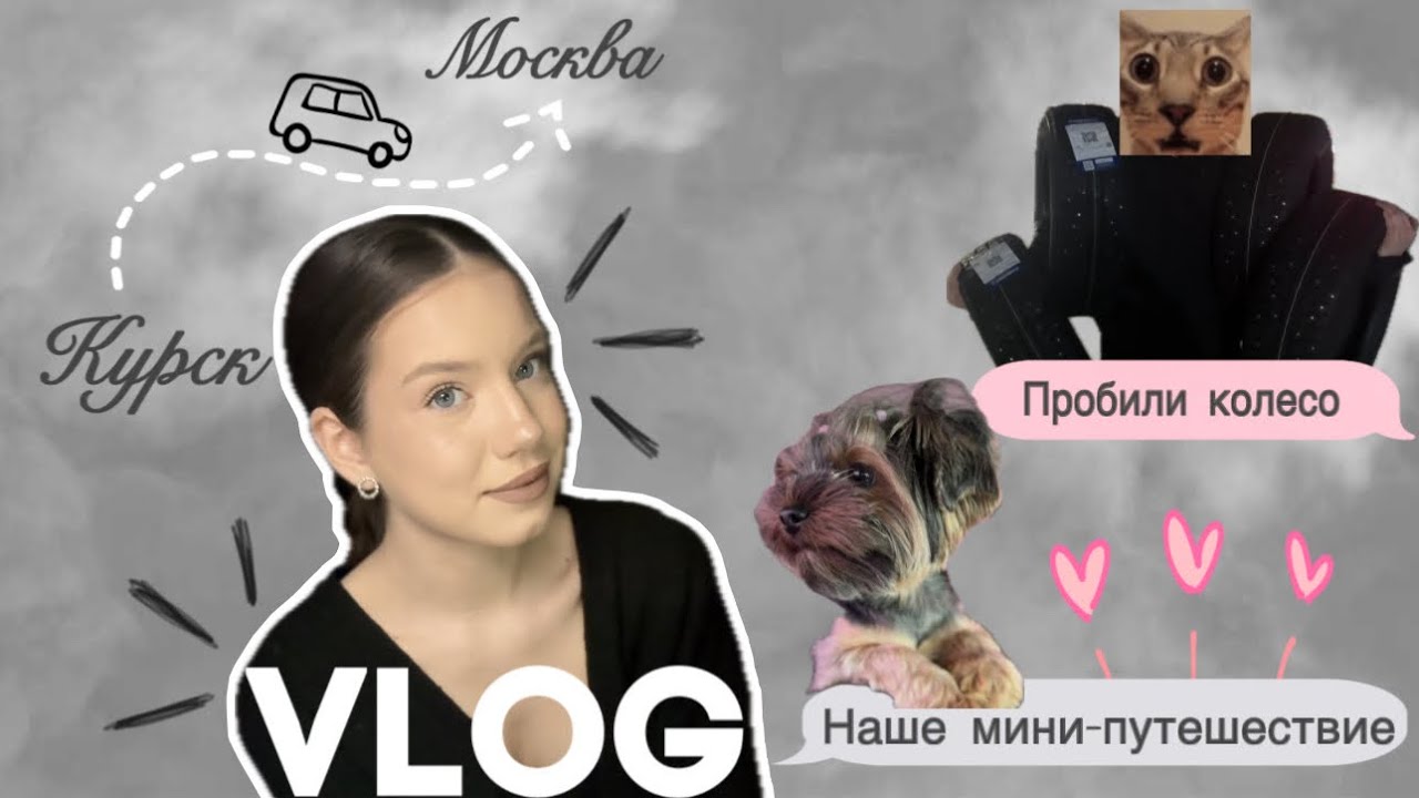 life влог // едем в Москву 🚙| много приключений и вещей 🫠