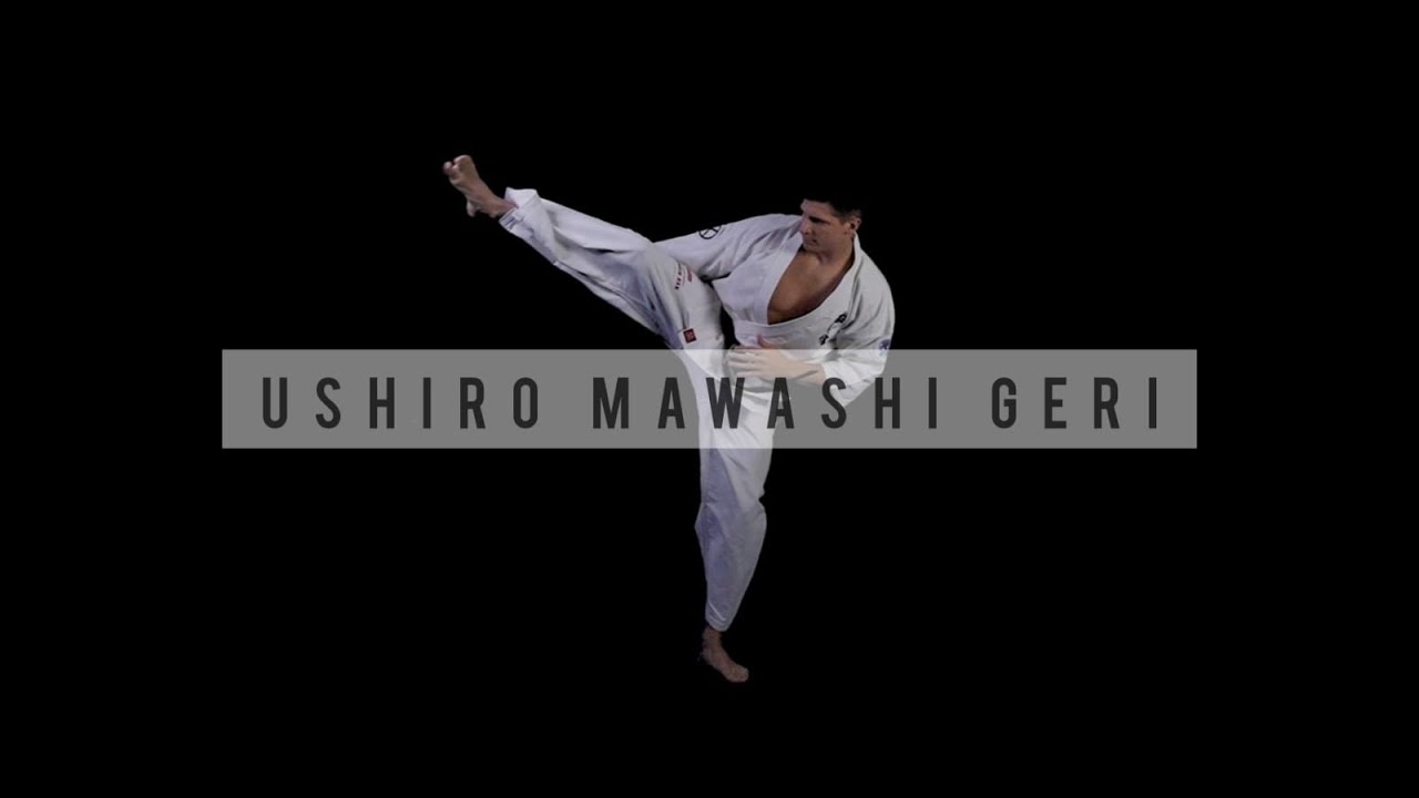 Basic Kyokushin techniques | USHIRO MAWASHI GERI | Spinning Hook Kick