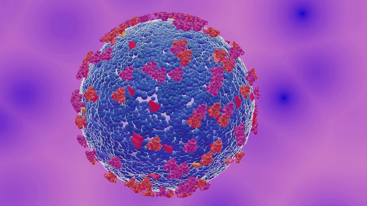 viruses| shapes of viruses| life cycle of viruses|