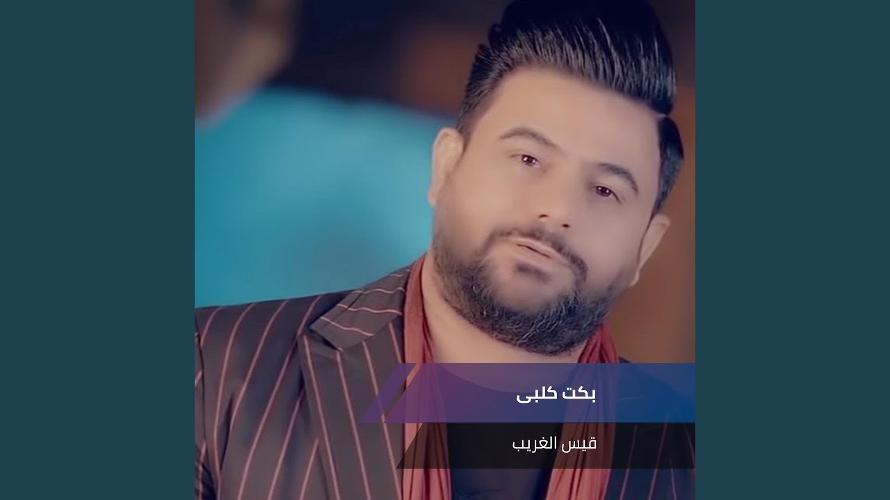 بكت كلبى