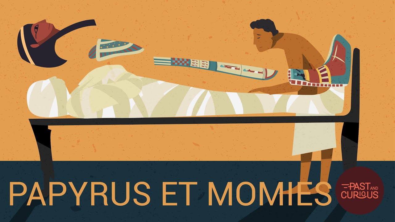Des papyrus qui cartonnent !