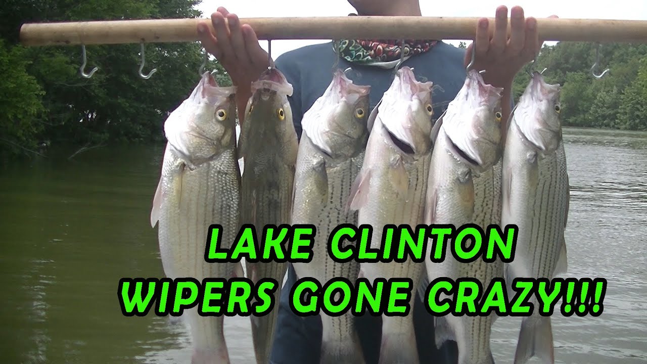 Clinton Lake WIPERS gone CRAZY!!!