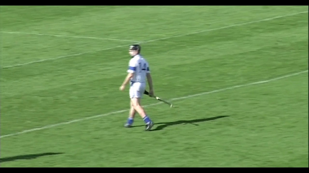 2006 County Senior Hurling Championship Semi Final Bruree Vs Doon