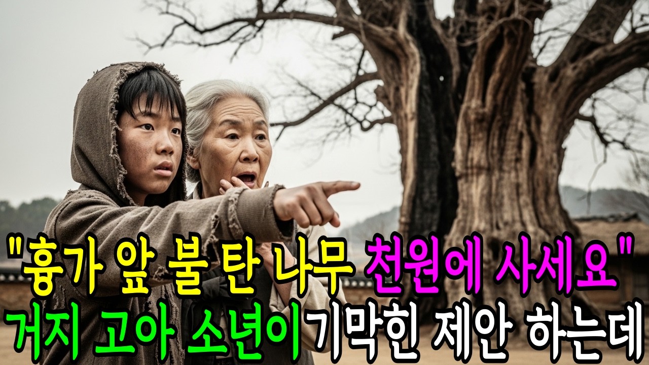 “흉가 앞 불 탄 나무 천원에 사세요.” 거지 고아 소년이 기막힌 제안하는데 인생사연/노후사연/공감사연/사연드라마/감동사연