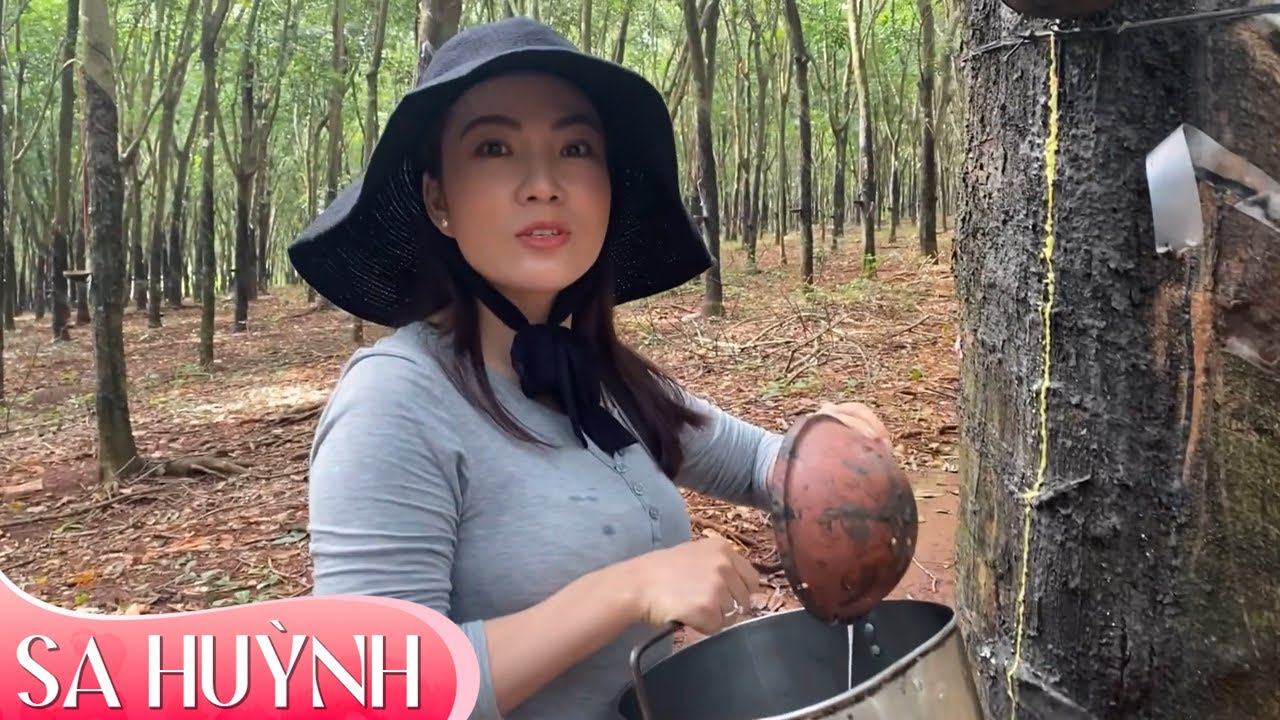 Ca Sĩ Sa Huỳnh Đi Trút Mủ Cao Su 😝