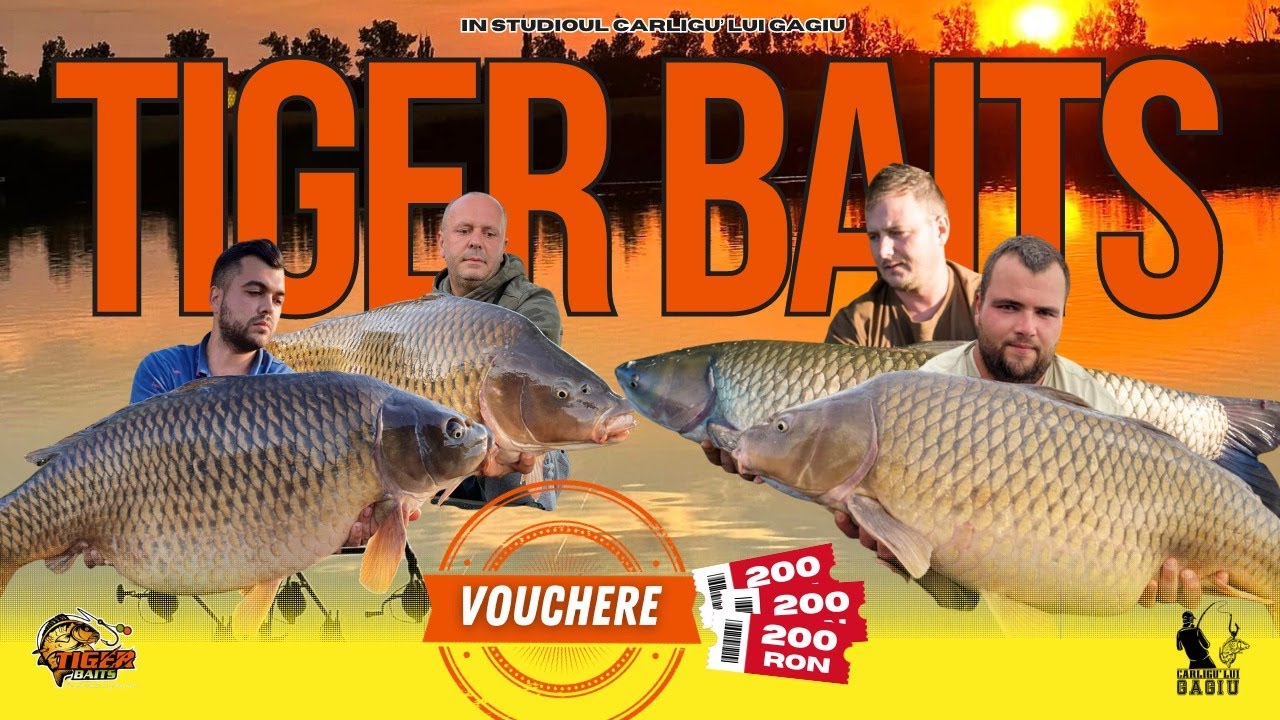 Secretele și strategiile de nădire în funcție de sezon! Tiger Baits are doar podiumuri în 2023!